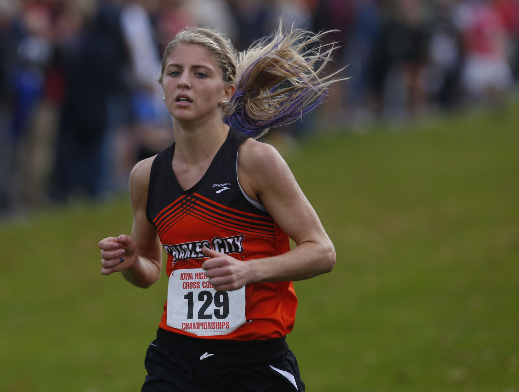 2016 State Cross Country Meet
